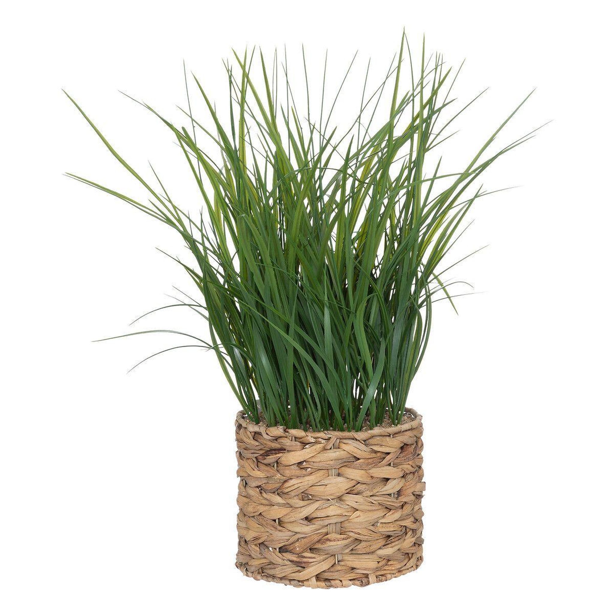 ATMOSPHERA Plante artificielle en pot  herbe  70cm beige