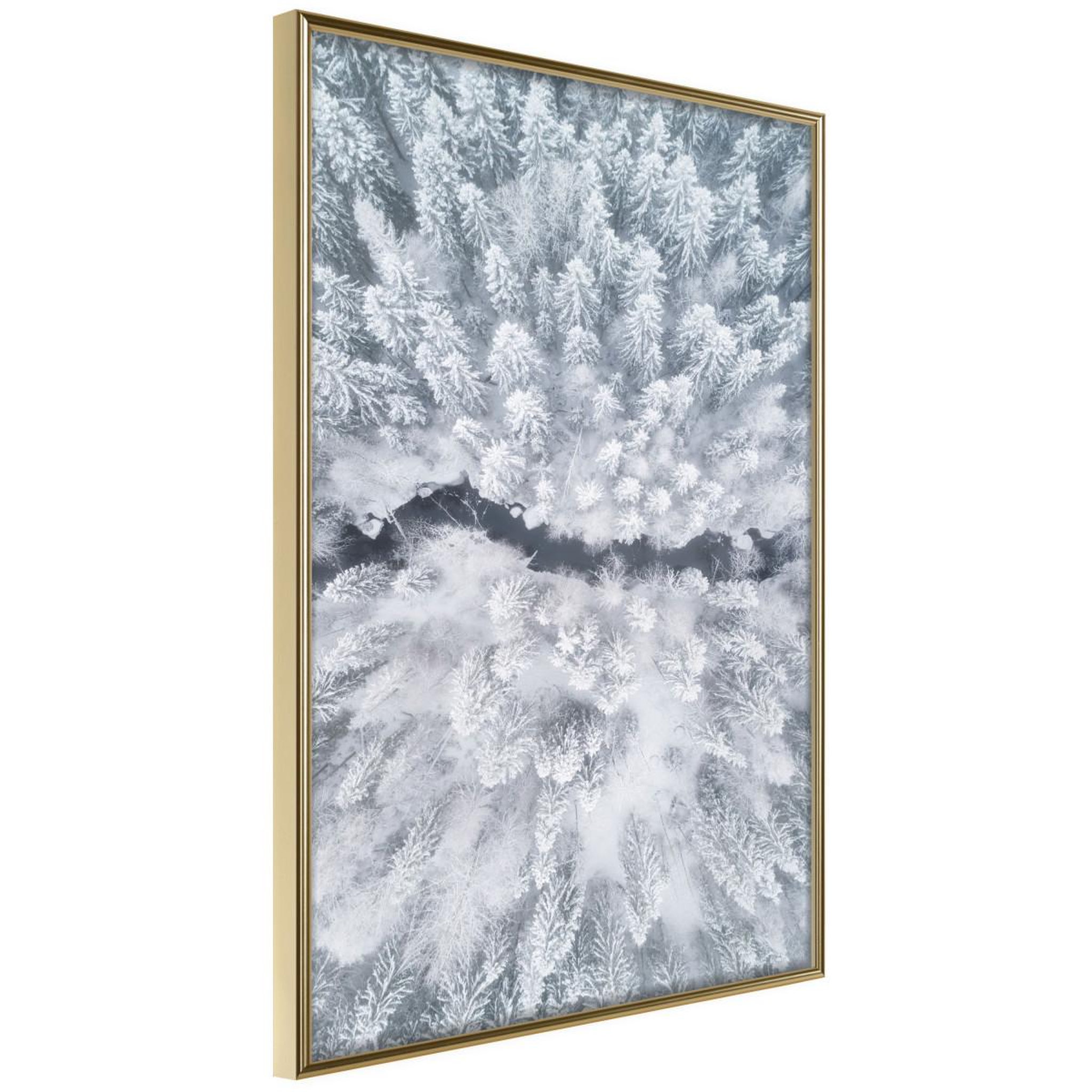 Voir la diapositive 1 : Paris Prix Affiche Murale Encadrée  Winter Forest From a Bird's Eye View