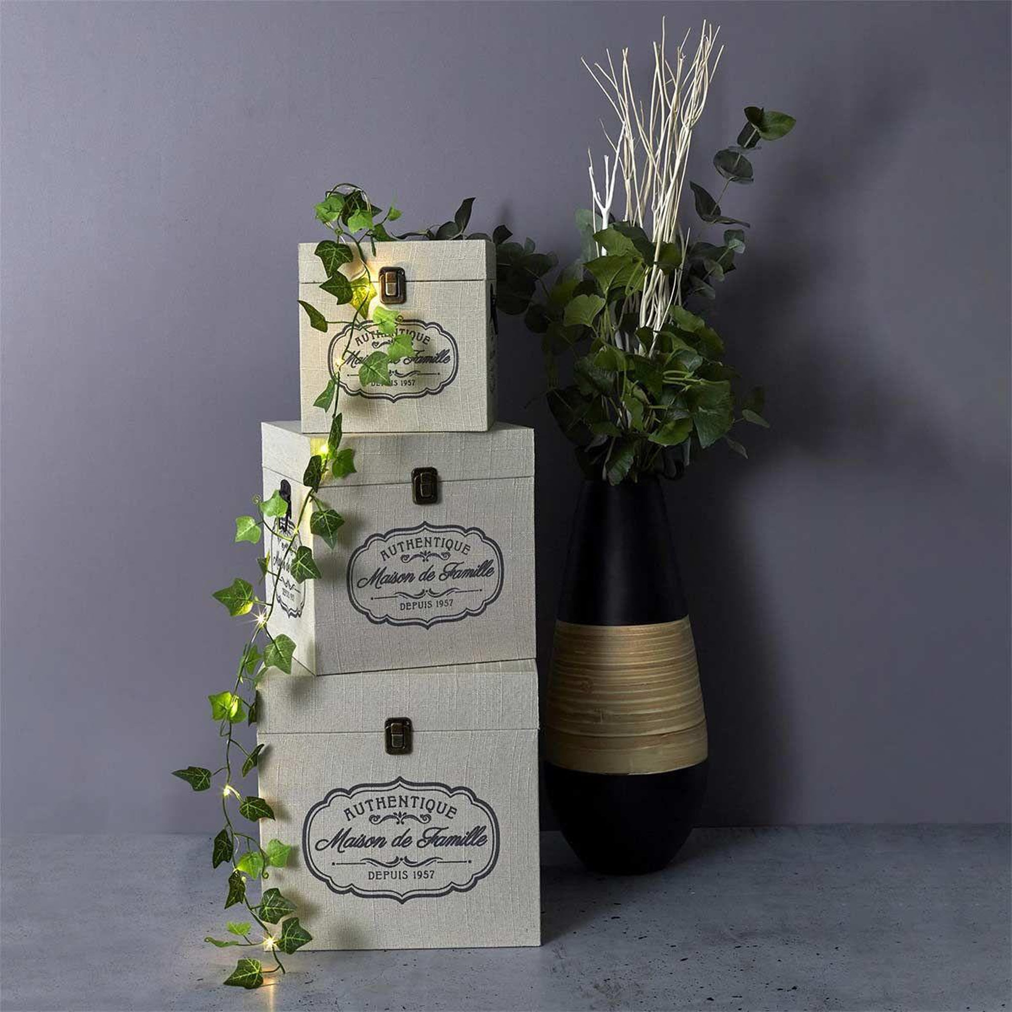 Voir la diapositive 6 : The Home Deco Factory Guirlande lumineuse 20 led  feuille  200cm vert