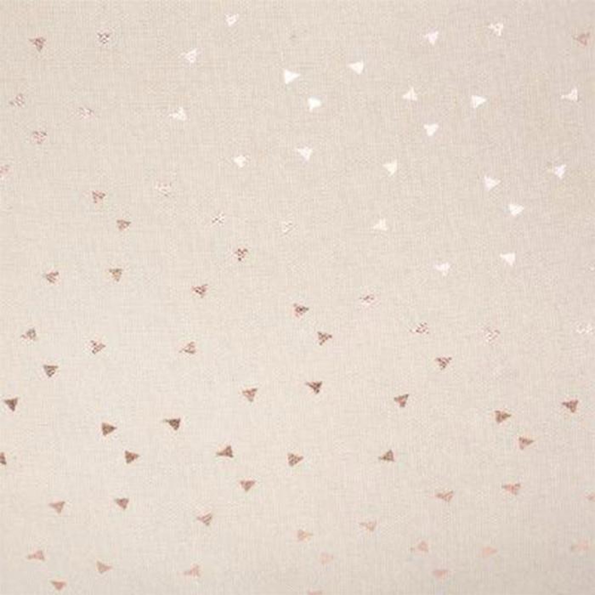Voir la diapositive 3 : Atmosphera Kids Coussin enfant  berlingot étoile  40x40cm beige
