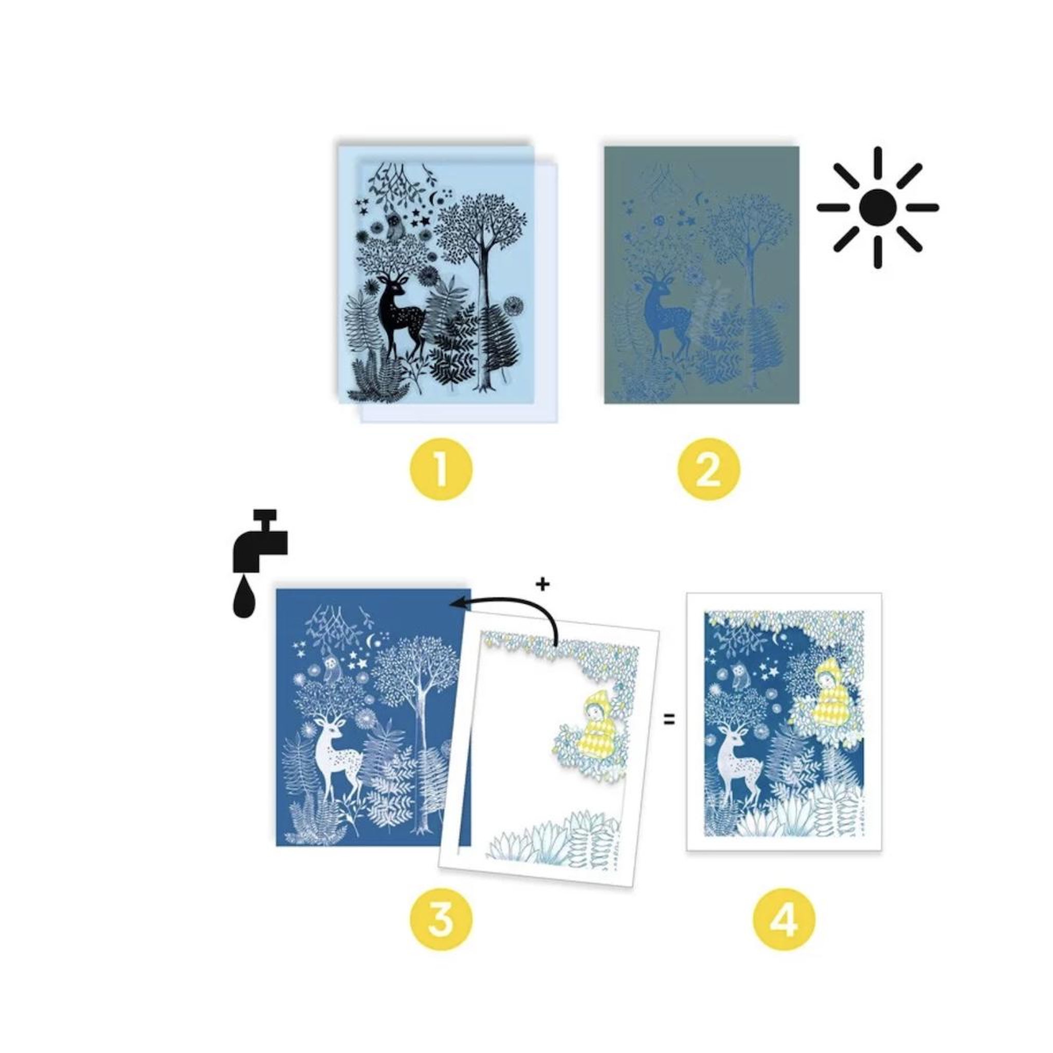 Voir la diapositive 2 : Djeco Cyanotype - Au clair de lune