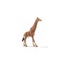Schleich 14749 Girafe male