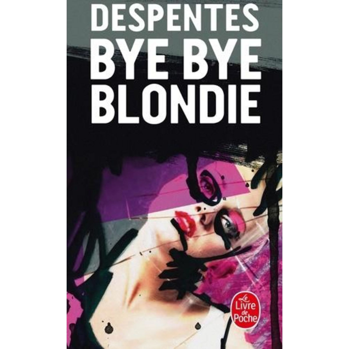BYE BYE BLONDIE, Despentes Virginie