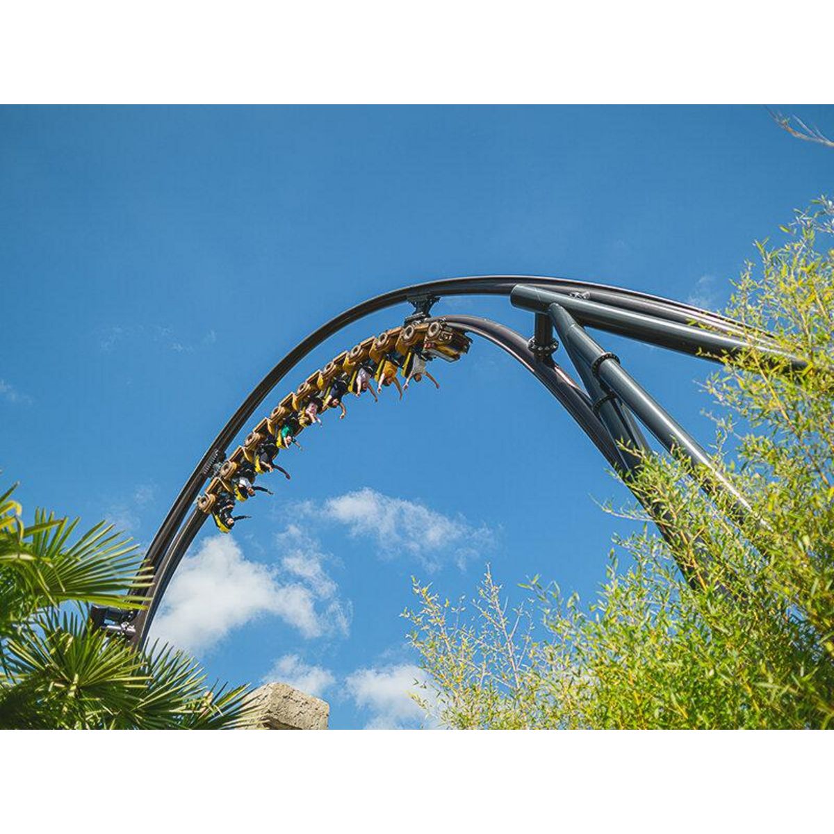 Smartbox Journée amusante : 2 entrées Grand Visiteur et 1 entrée enfant pour le parc Walibi Rhône-Alpes - Coffret Cadeau Multi-thèmes