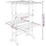 Voir la diapositive 6 : VIDAXL Etagere a linge a 2 niveaux avec roues Argente 60x70x106 cm