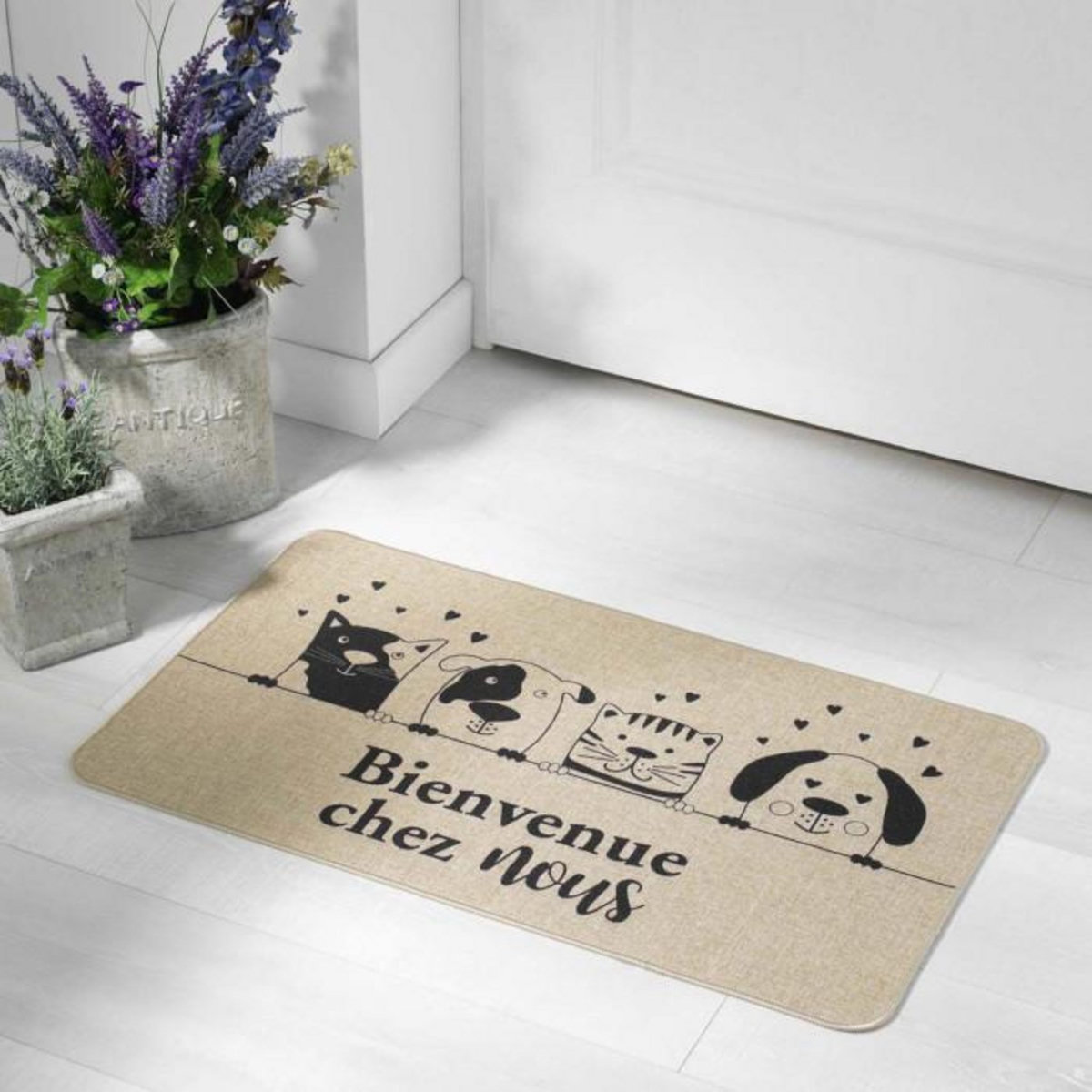 Paris Prix Tapis d'Entrée Imprimé  Zamis  45x75cm Naturel