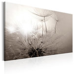 Paris Prix Tableau Imprimé  Beautiful Summer : Dandelions. Coloris disponibles : Multicolore