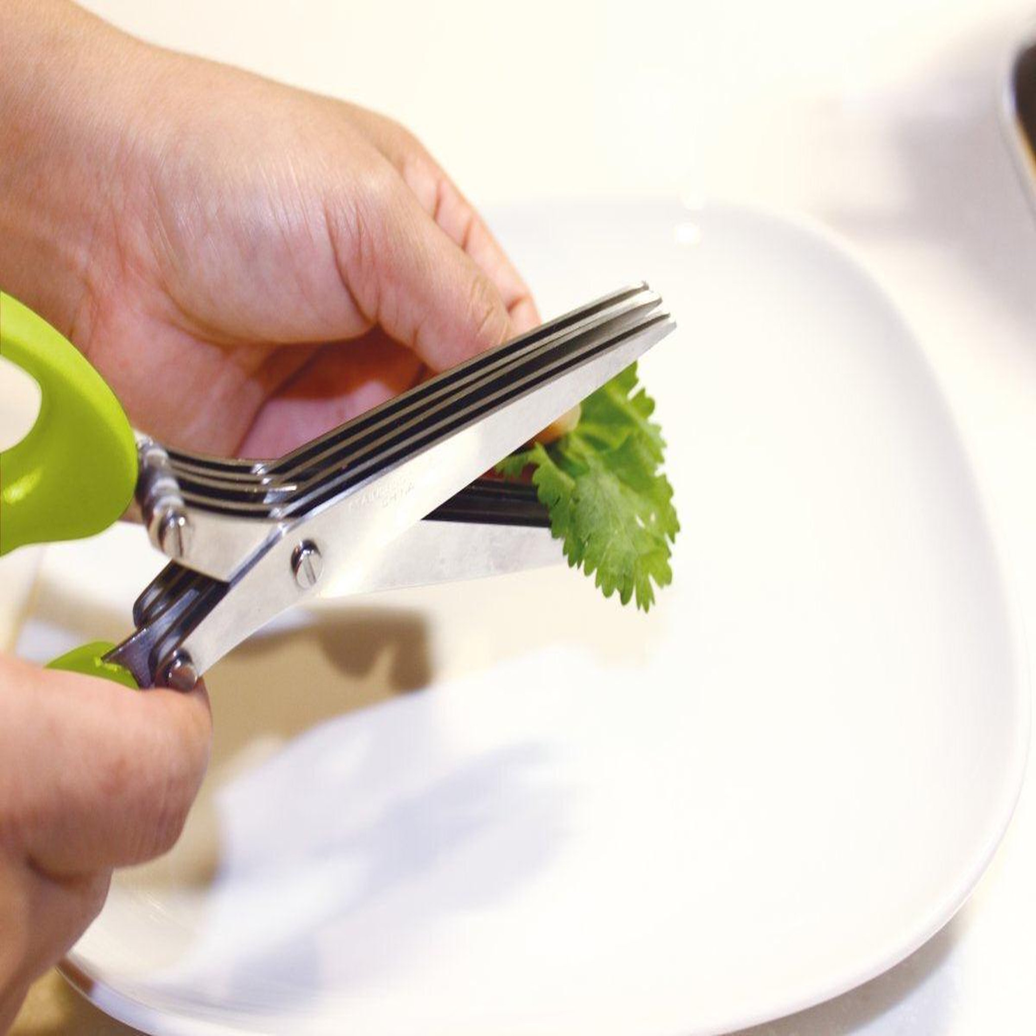 Voir la diapositive 3 : Fackelmann Set de 2 ciseaux pour herbes aromatiques en plastique et inox fackelmann basic