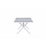 Voir la diapositive 2 : Paris Prix Table de Jardin  Garcia  200cm Gris