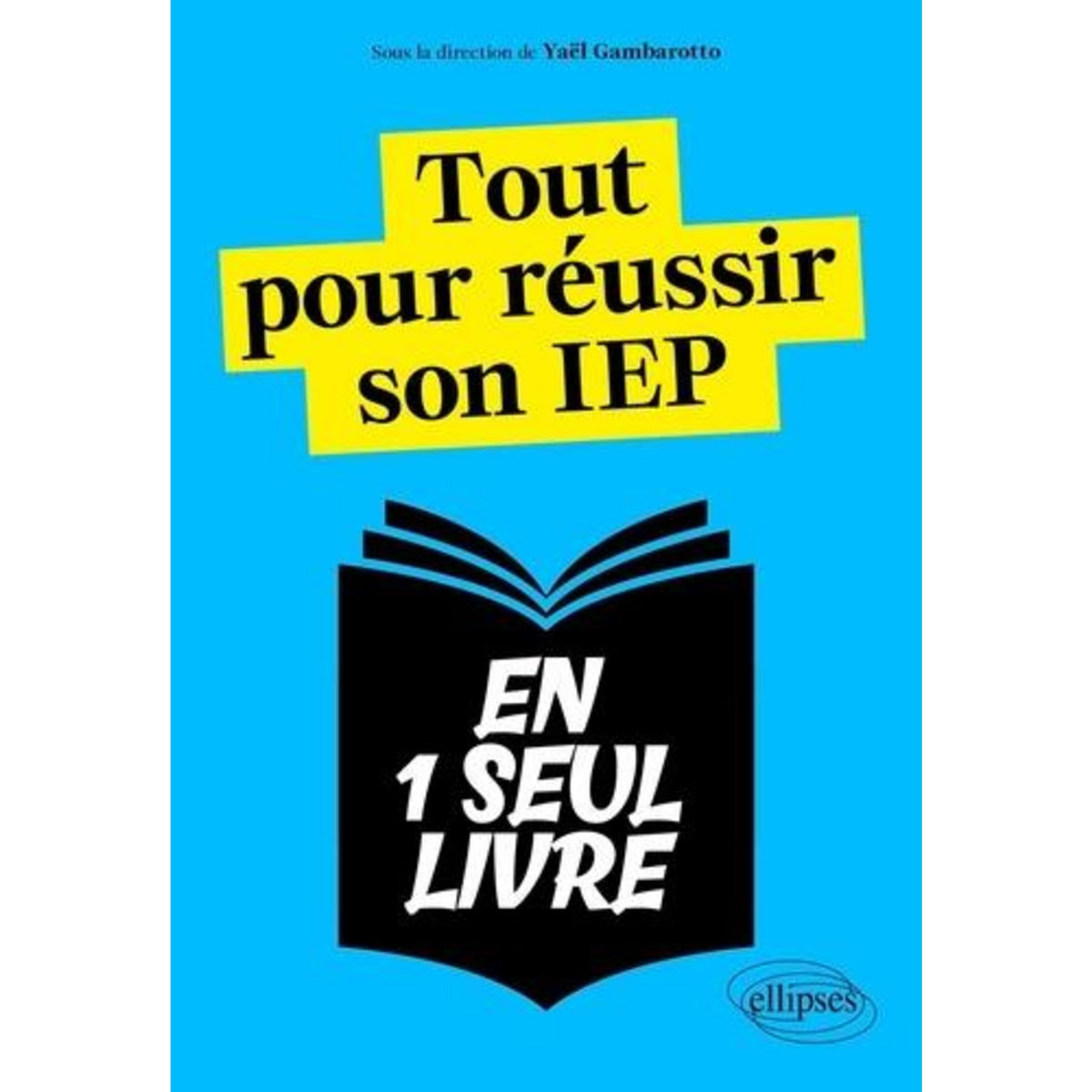 TOUT POUR REUSSIR SON IEP, Gambarotto Yaël