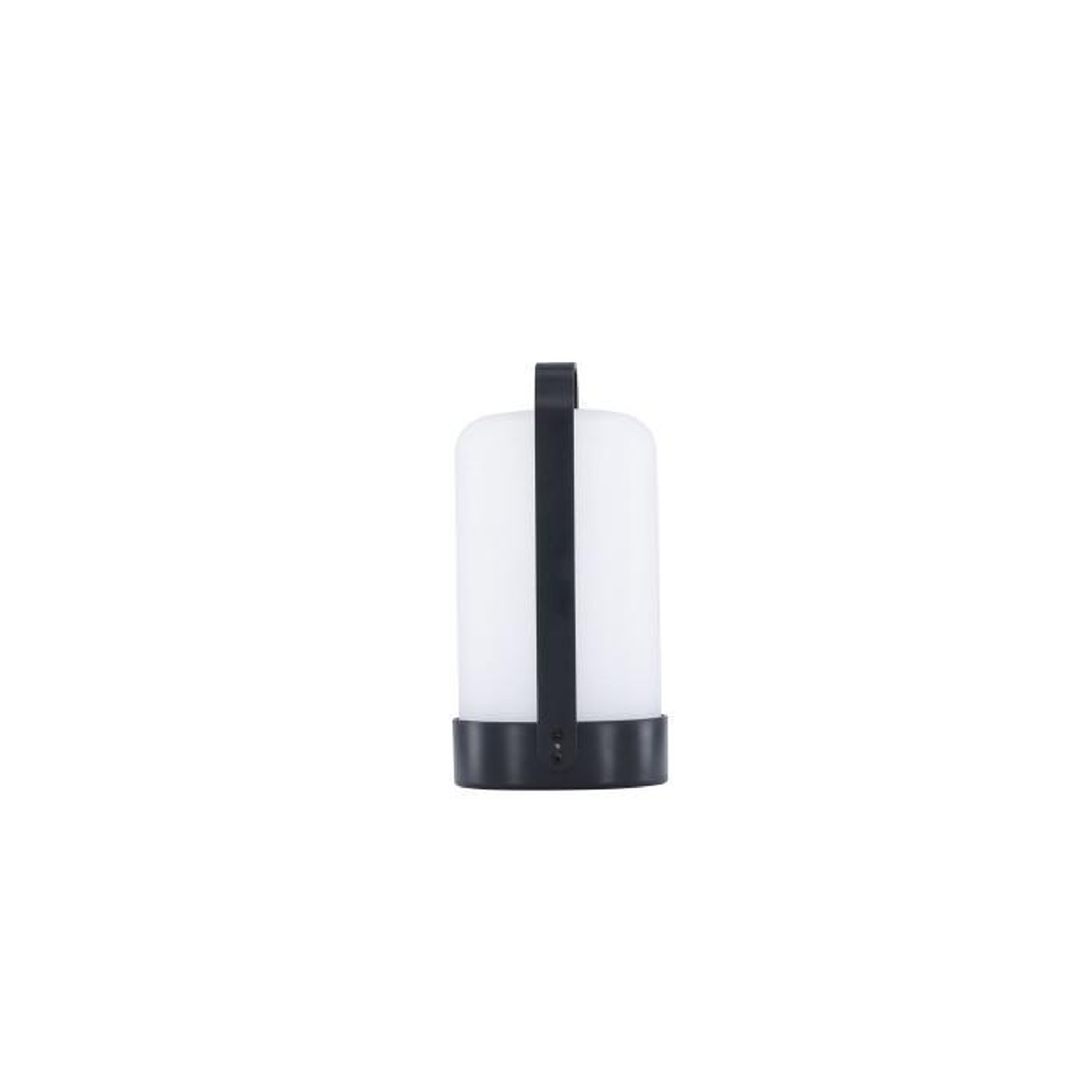 Voir la diapositive 2 : Paris Prix Lampe à Poser d'Extérieur LED  Fern  22cm Noir