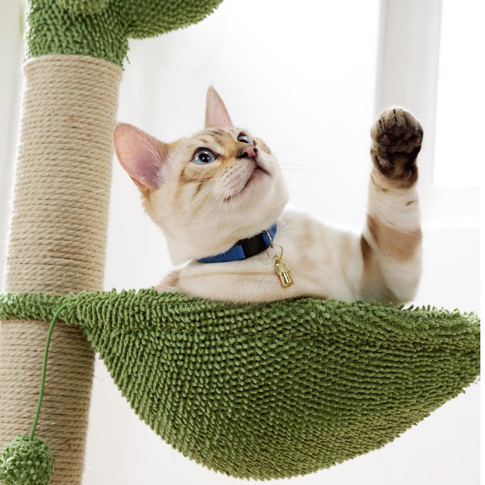 Voir la diapositive 2 : LOVE STORY Arbre à chat cactus  jouet & hamac  96cm vert