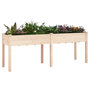 Voir la diapositive 3 : VIDAXL Jardiniere avec doublure 203x53x76 cm bois massif de sapin