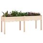 Voir la diapositive 3 : VIDAXL Jardiniere avec doublure 203x53x76 cm bois massif de sapin