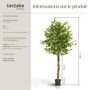 Voir la diapositive 6 : tectake Ficus artificiel design très réaliste vert
