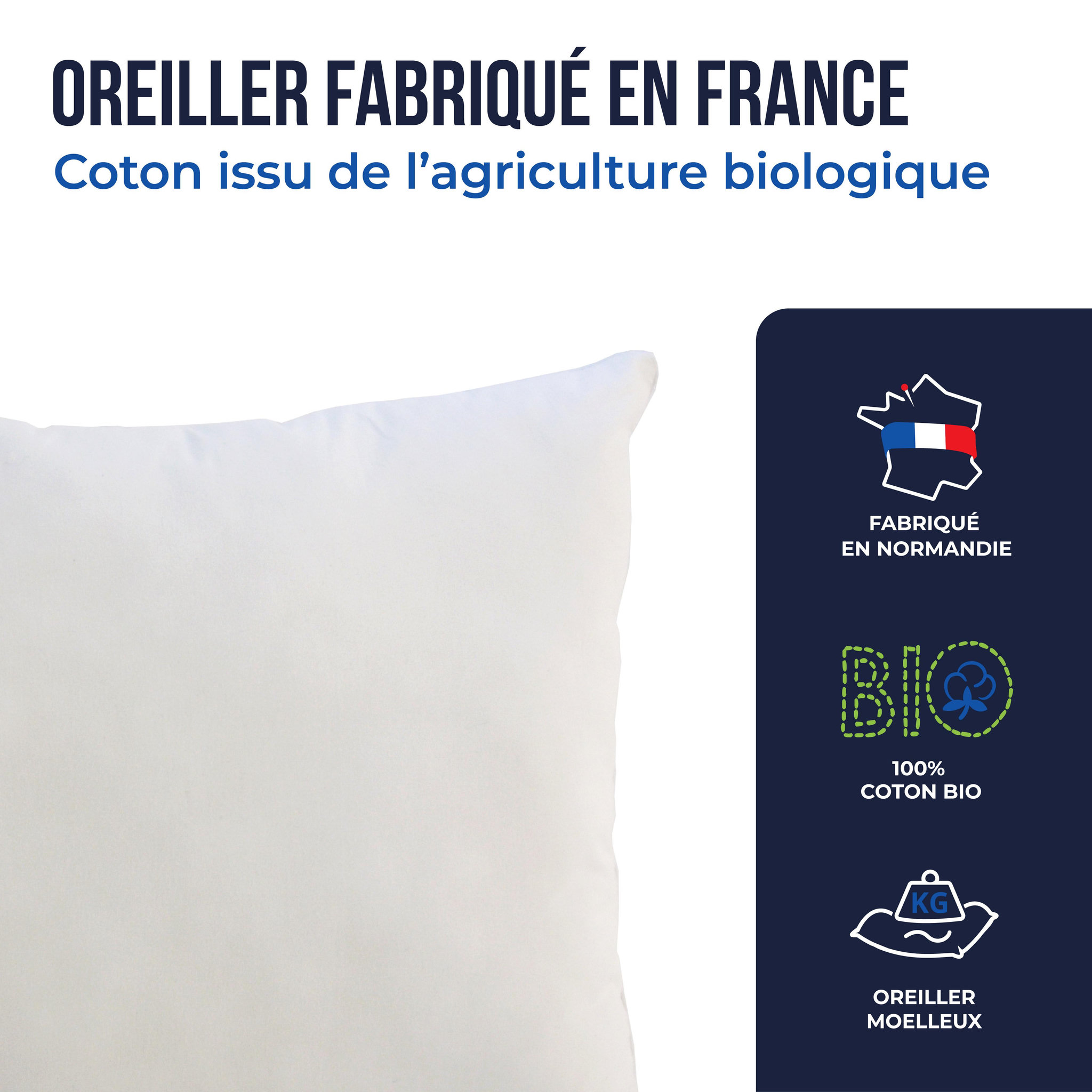 Voir la diapositive 4 : COLAS NORMAND Oreiller Colas Normand coton bio certifié GOTS 50X70