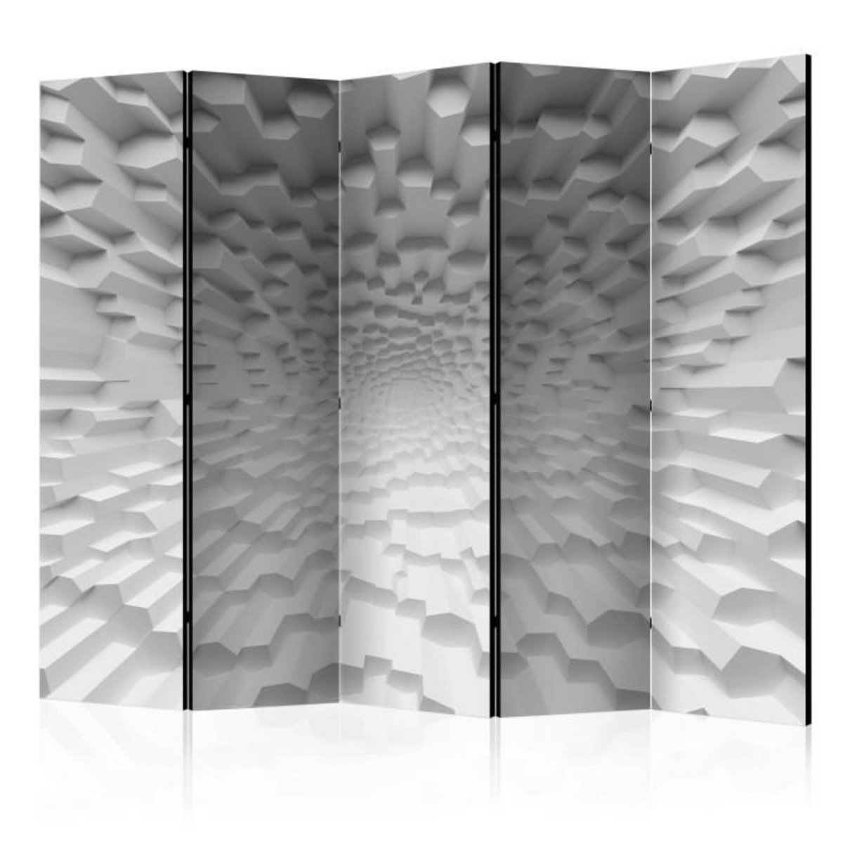 Paris Prix Paravent 5 Volets  The Abyss of Oblivion  172x225cm