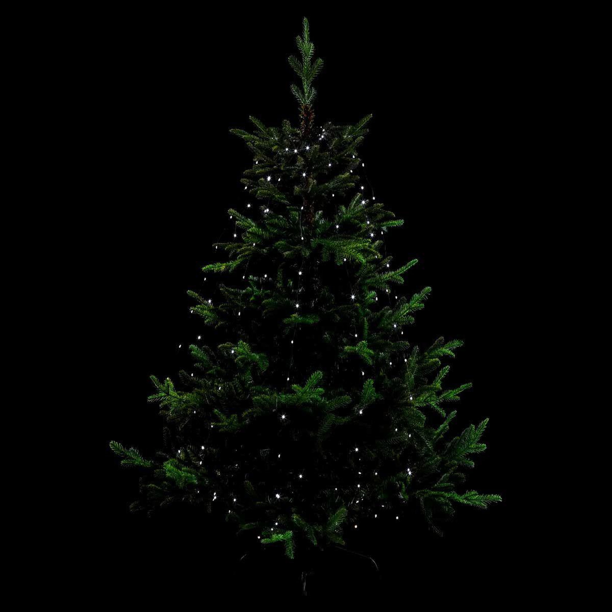 FEERIC LIGHT & CHRISTMAS Guirlande lumineuse extérieur  robe  220cm blanc froid