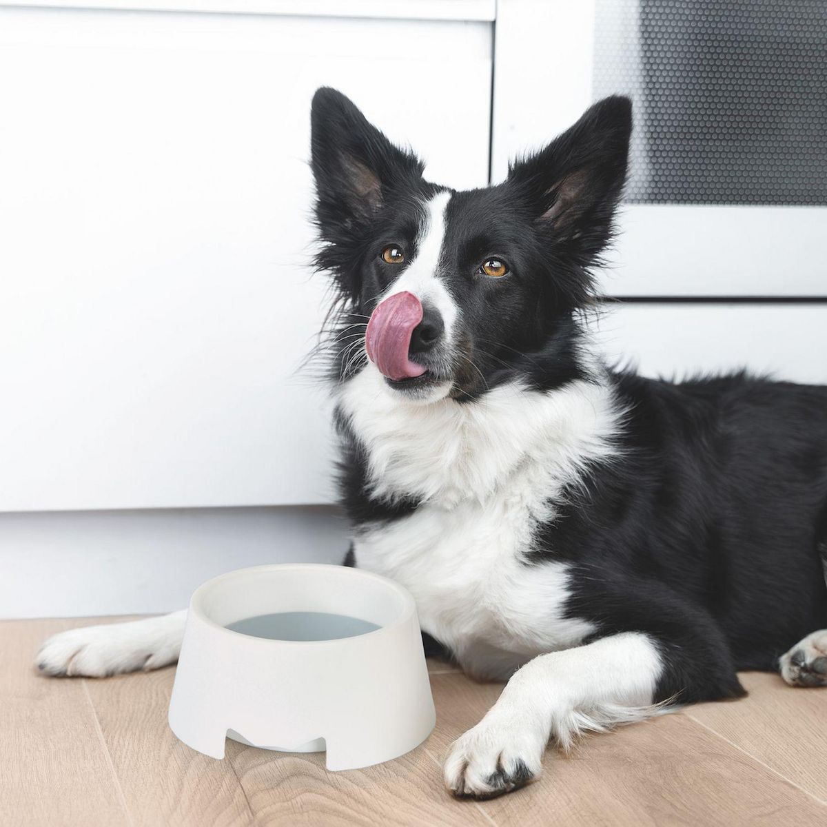 LOVE STORY Gamelle anti éclaboussures - D. 17 cm