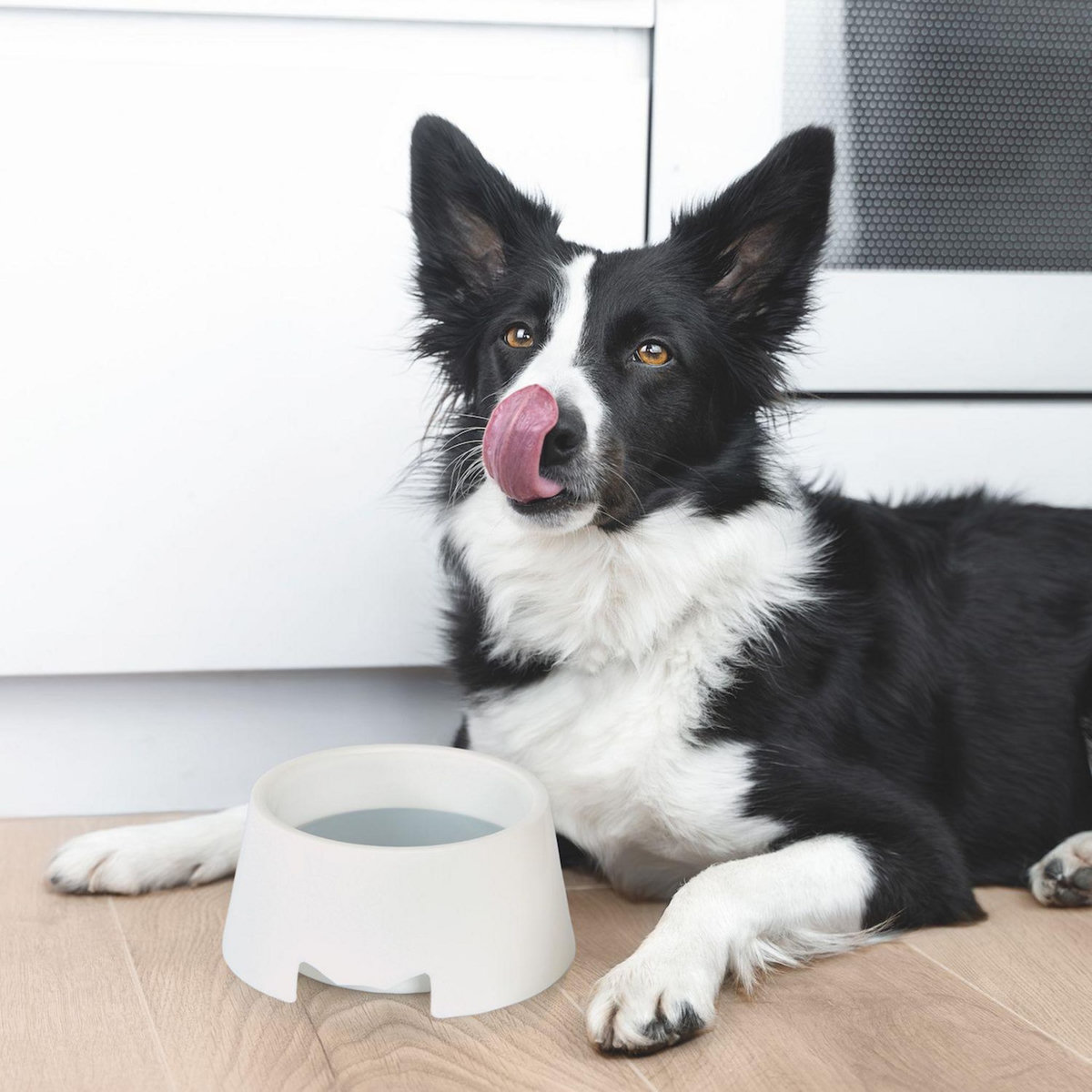 LOVE STORY Gamelle anti éclaboussures - D. 17 cm