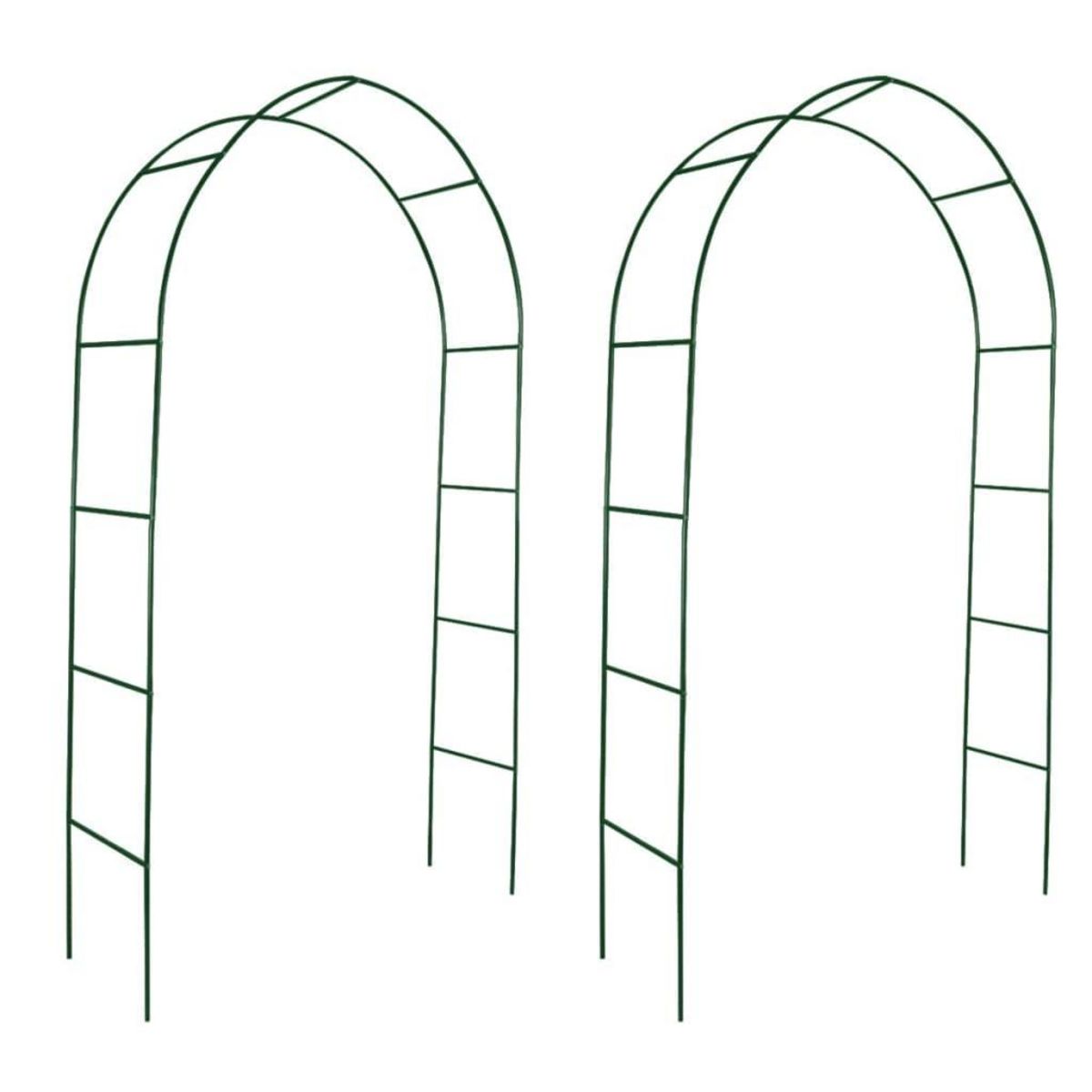 VIDAXL Arche de jardin 2 pcs pour plantes grimpantes