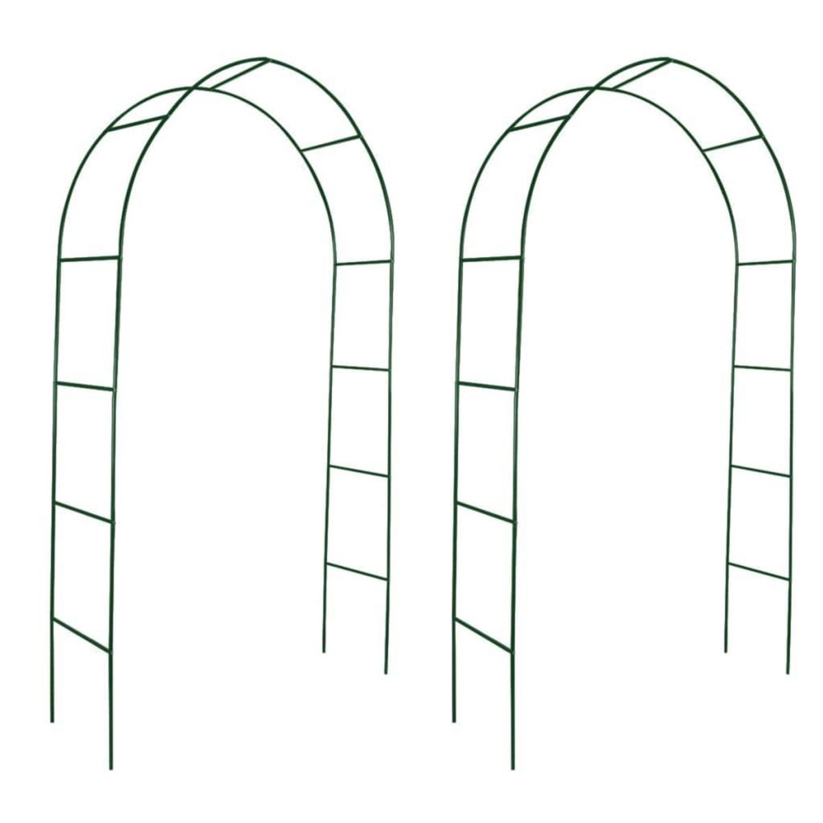 VIDAXL Arche de jardin 2 pcs pour plantes grimpantes