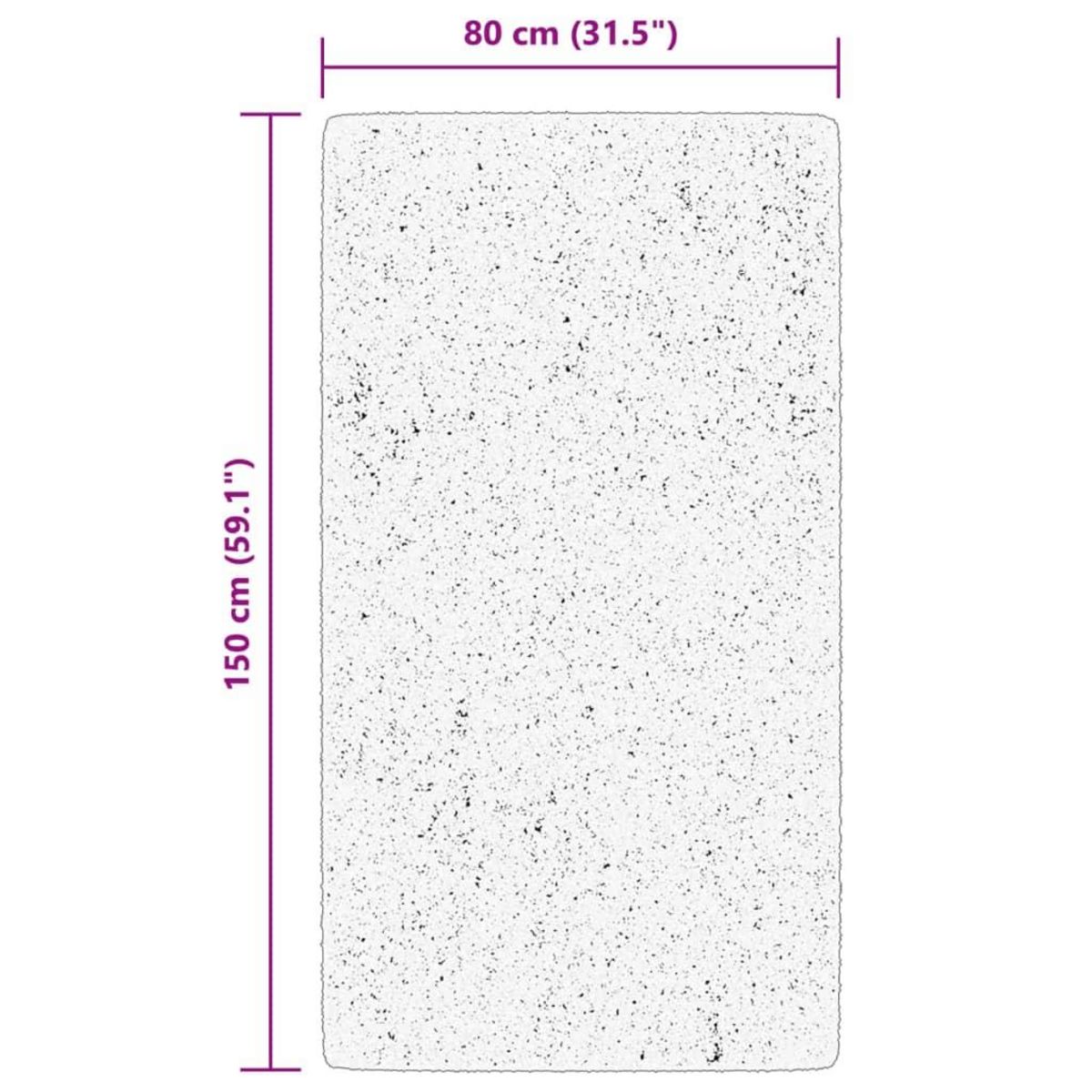 VIDAXL Tapis ARBIZU interieur exterieur design vintage 80x150 cm
