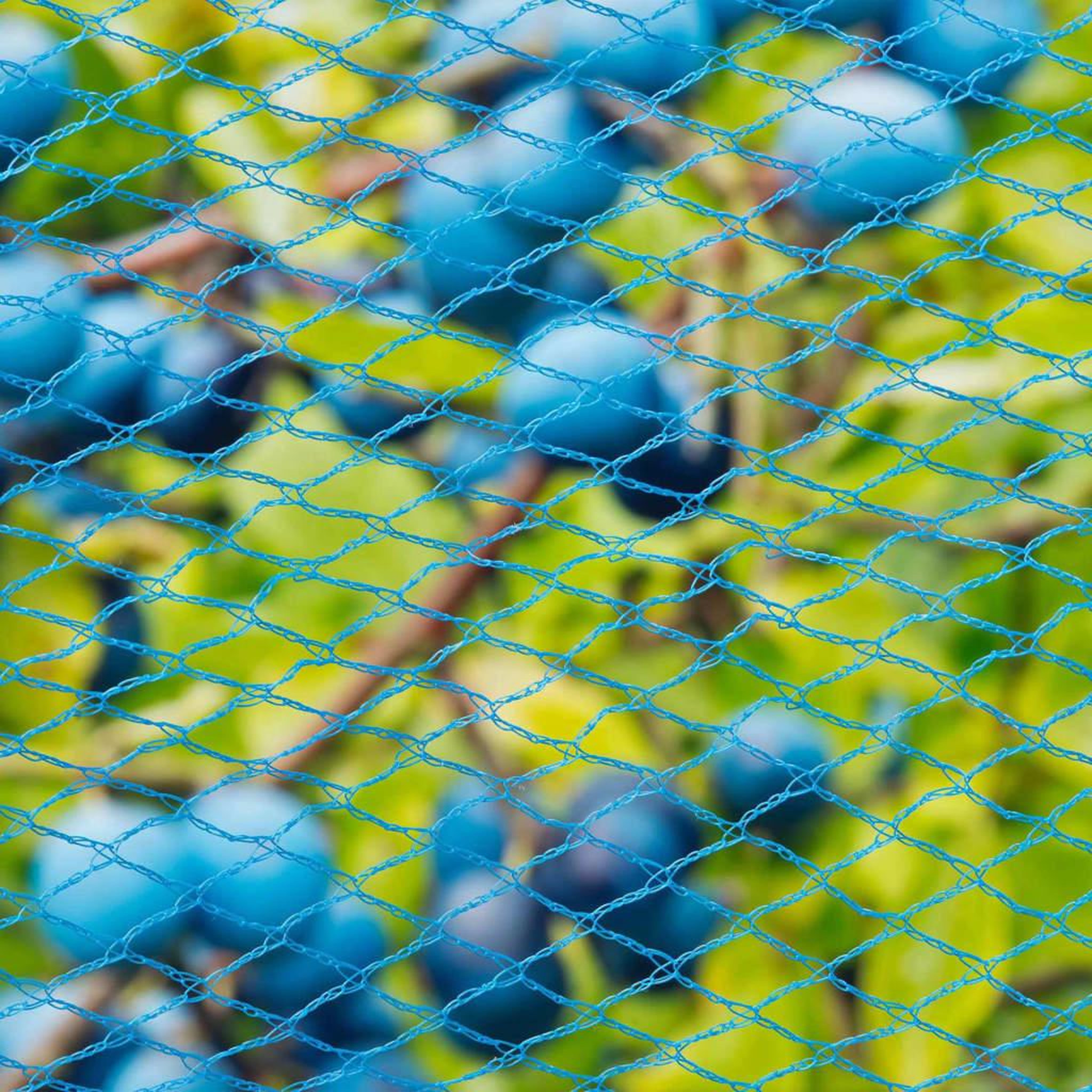 Voir la diapositive 3 : NATURE Nature Filet d'oiseaux Nano 5x4 m Bleu