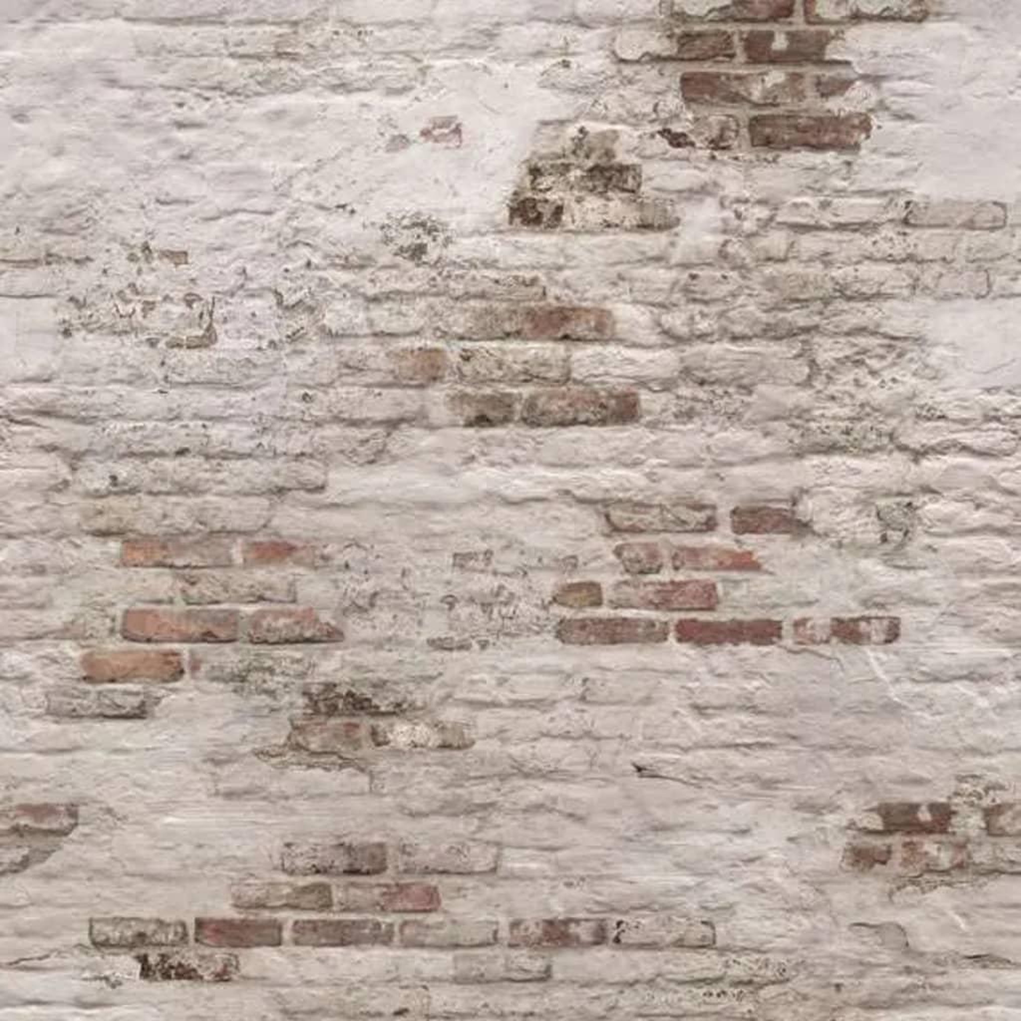 Voir la diapositive 1 : DUTCH WALLCOVERINGS DUTCH WALLCOVERINGS Papier peint Old Brick Wall Beige et marron