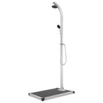 VIDAXL Douche de jardin avec base gris 220 cm Aluminium