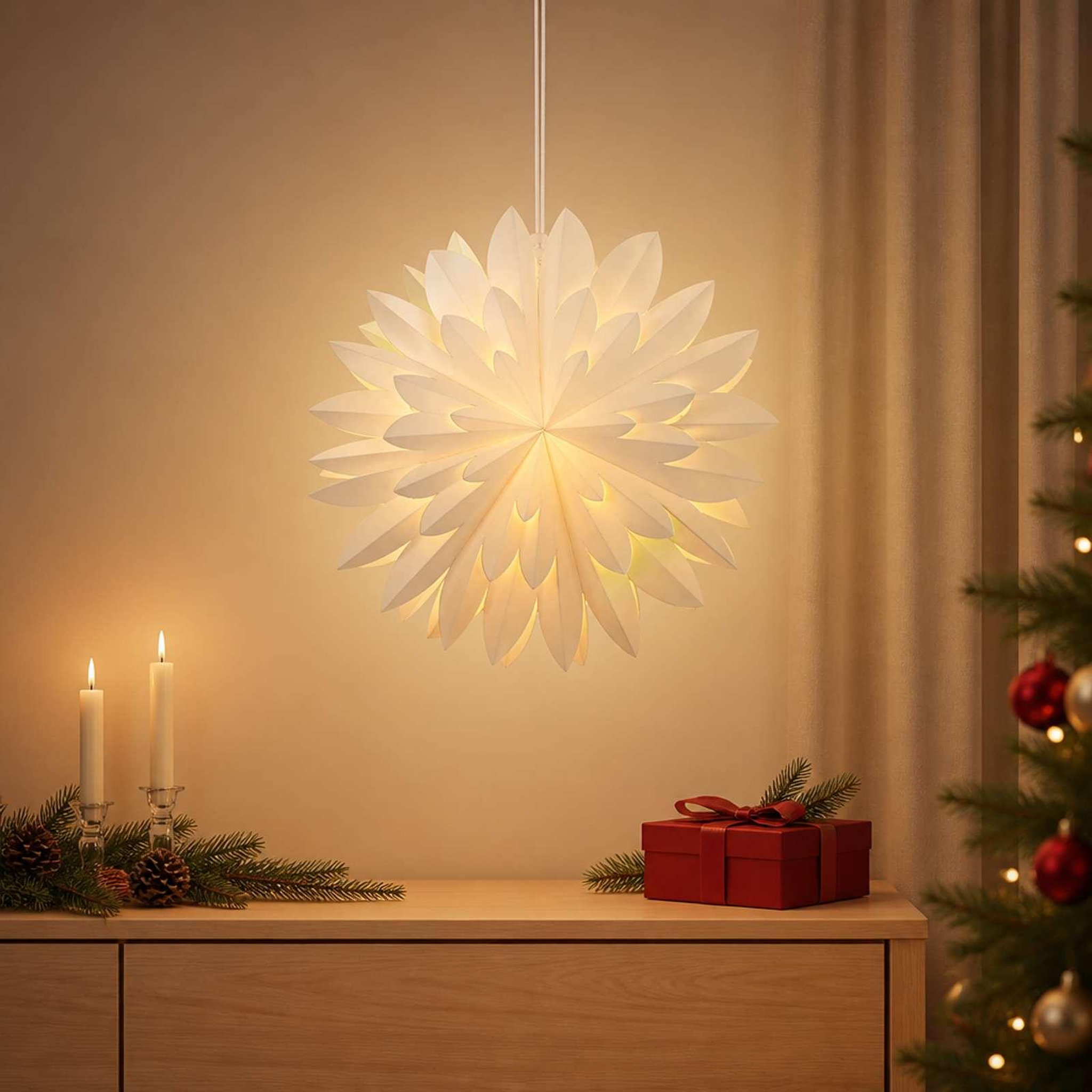 Voir la diapositive 2 : VIDAXL Eclairage de Noël RAAHE 10 LED Blanc chaud 60 x 20 x 60 cm