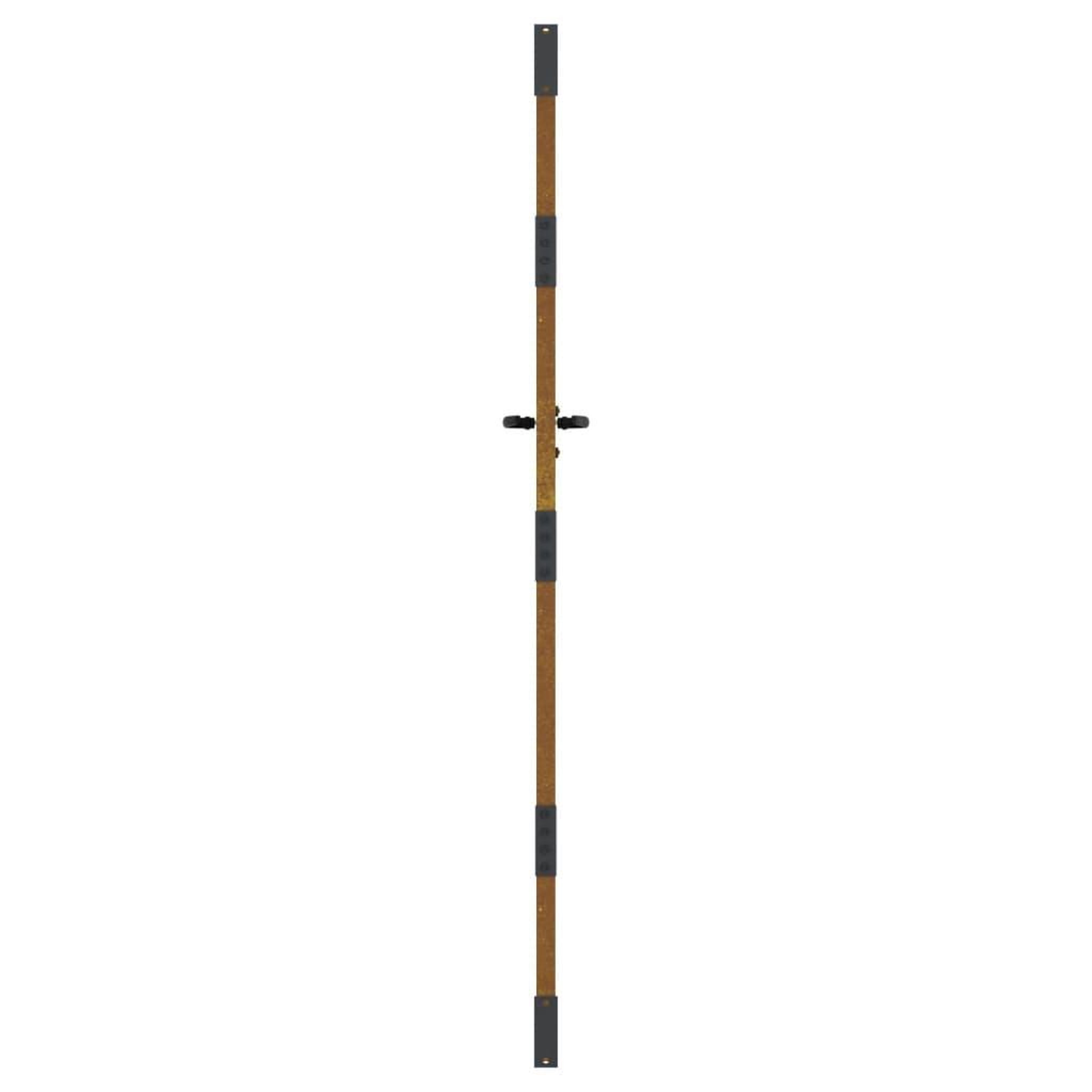 Voir la diapositive 5 : VIDAXL Portail de jardin 85x200 cm acier corten conception d'herbe