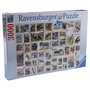 Voir la diapositive 2 : RAVENSBURGER Ravensburger Puzzle Tierbriefmarken (17079)