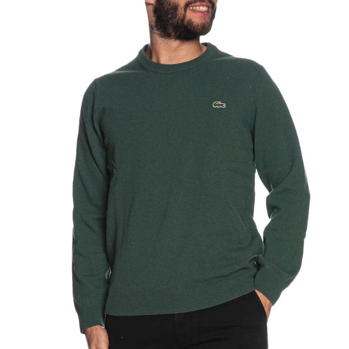 Lacoste Pull  Foncé Homme Lacoste Jardin