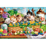 Castorland Puzzle 1000 pièces : Chatons qui font la sieste