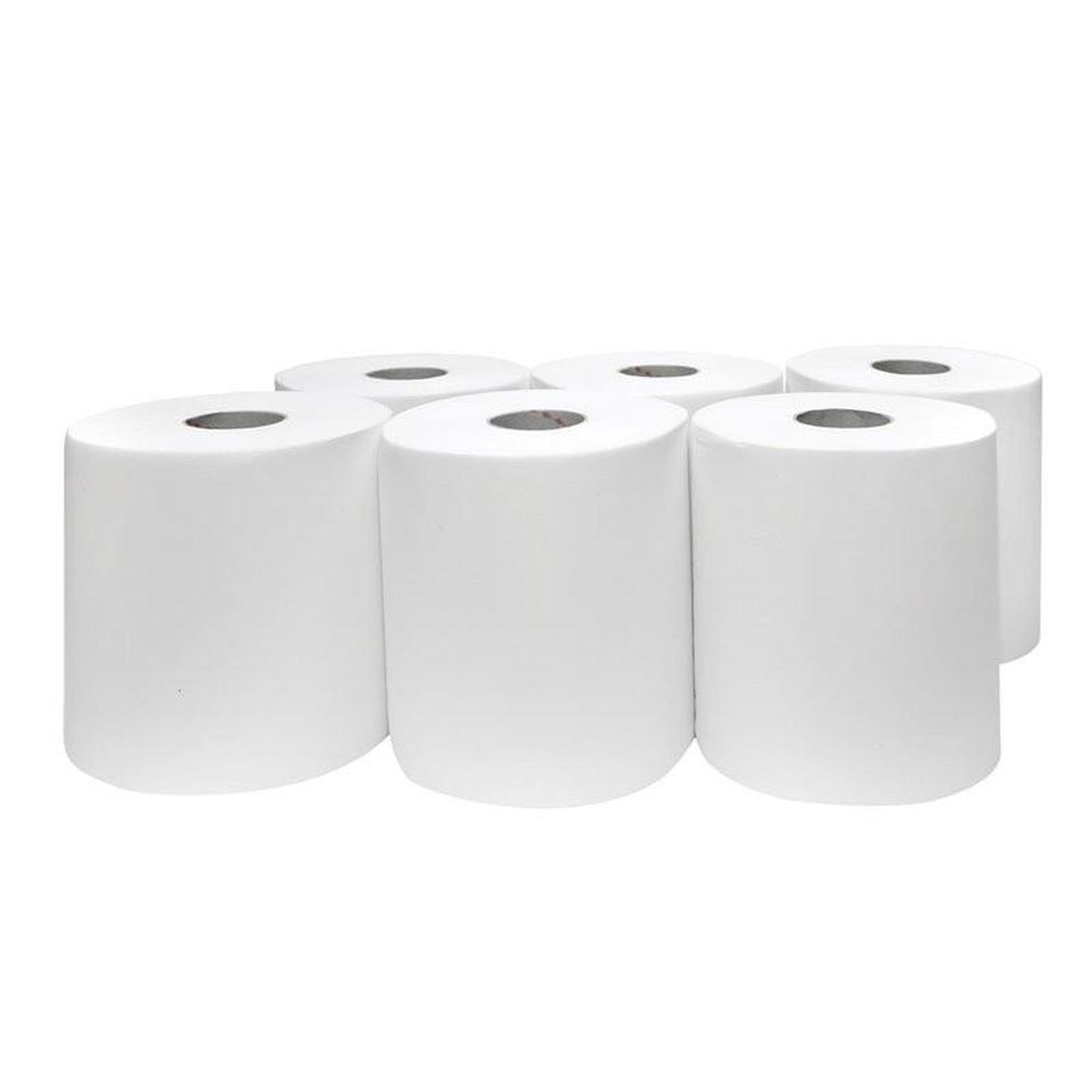 Voir la diapositive 2 : NOTRE SELECTION Bobines pure ouate blanc 450 formats 2 plis 22x30cm colis de 6 N2482.1LP02