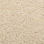 Voir la diapositive 2 : VIDAXL Tapis a poils courts 240x340 cm Beige