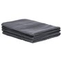 Voir la diapositive 2 : VIDAXL Tapis de tente 250x600 cm Anthracite