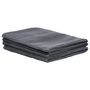 Voir la diapositive 2 : VIDAXL Tapis de tente 250x600 cm Anthracite