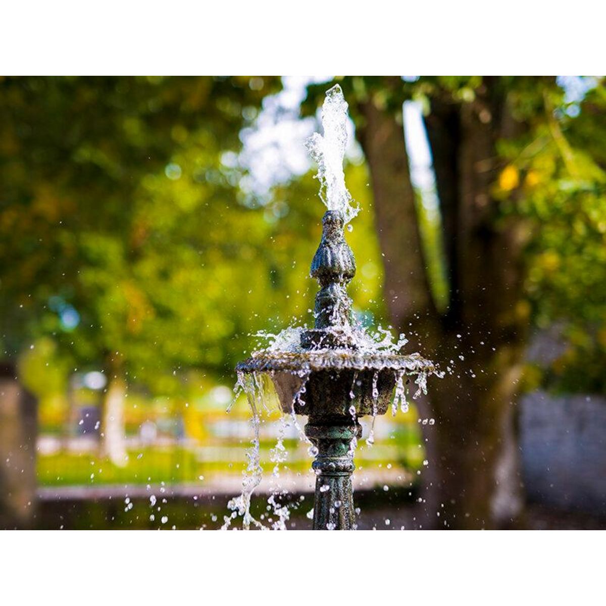 Smartbox 2 jours en chambre d'hôtes en Sologne avec dîner pour toute la famille - Coffret Cadeau Séjour