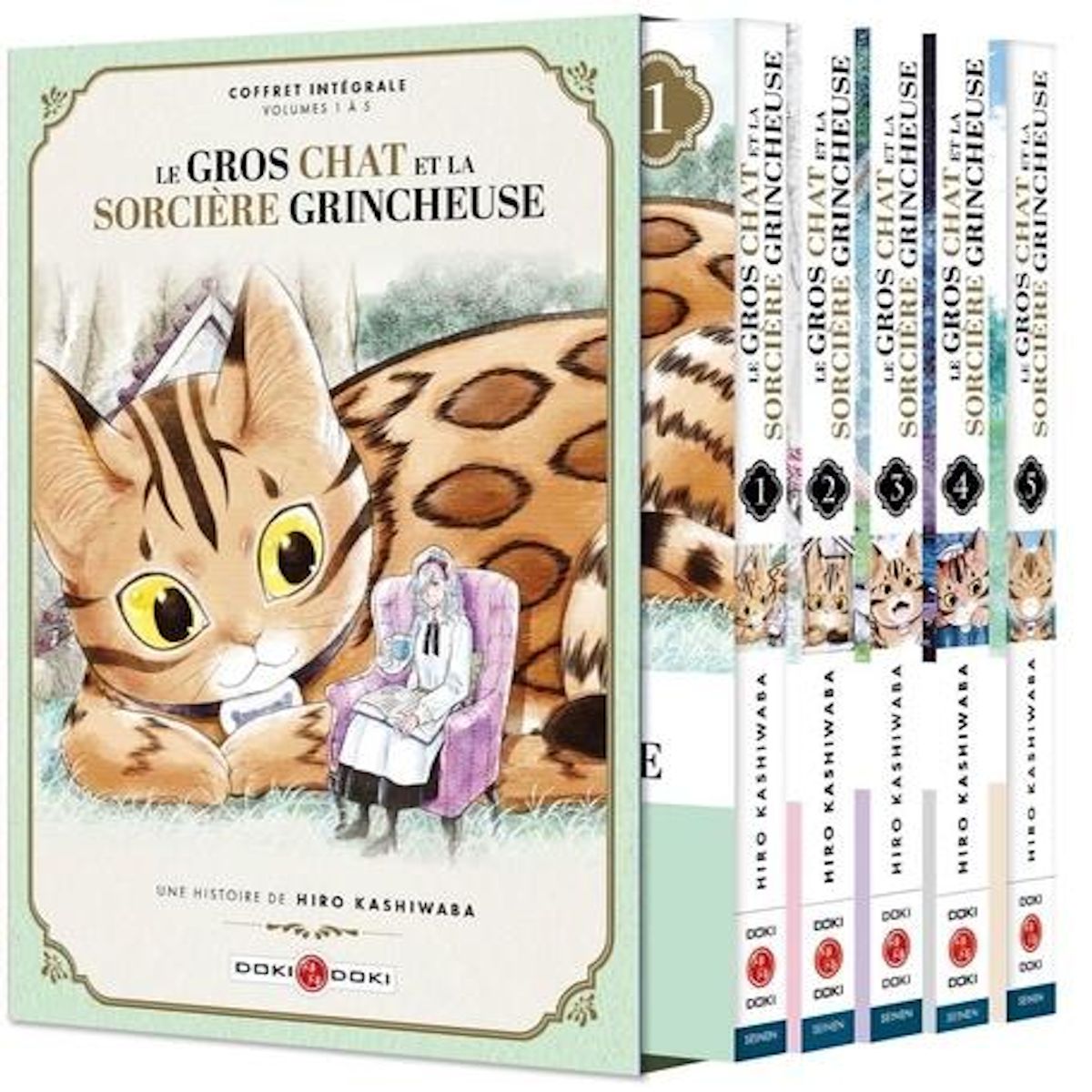 LE GROS CHAT ET LA SORCIERE GRINCHEUSE TOMES 1 A 5 : COFFRET EN 5 VOLUMES, Kashiwaba Hiro