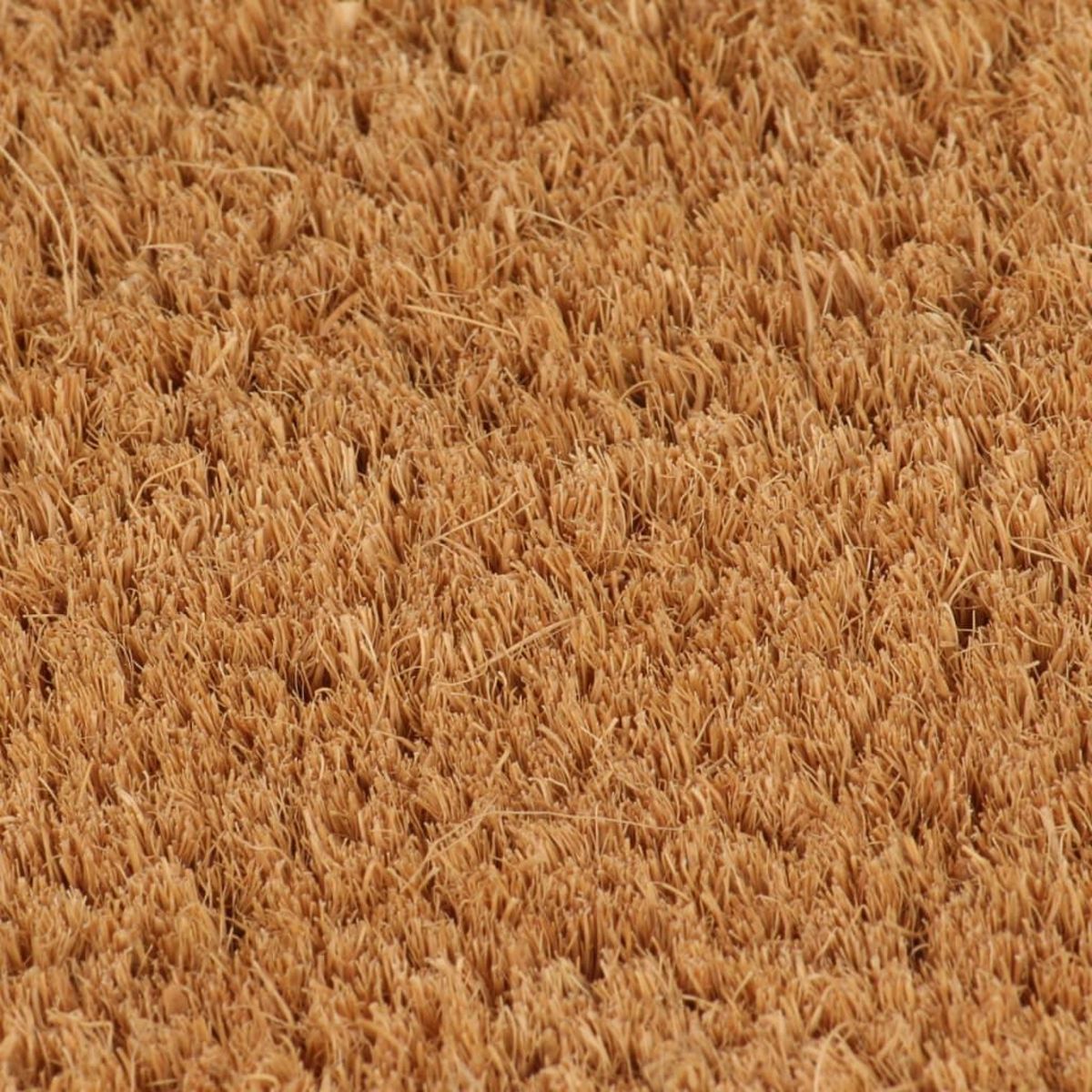 VIDAXL Tapis de porte naturel demi-rond 60x90cm fibre de coco touffete