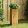 Voir la diapositive 1 : VIDAXL Jardiniere 40x34,5x75 cm acier corten