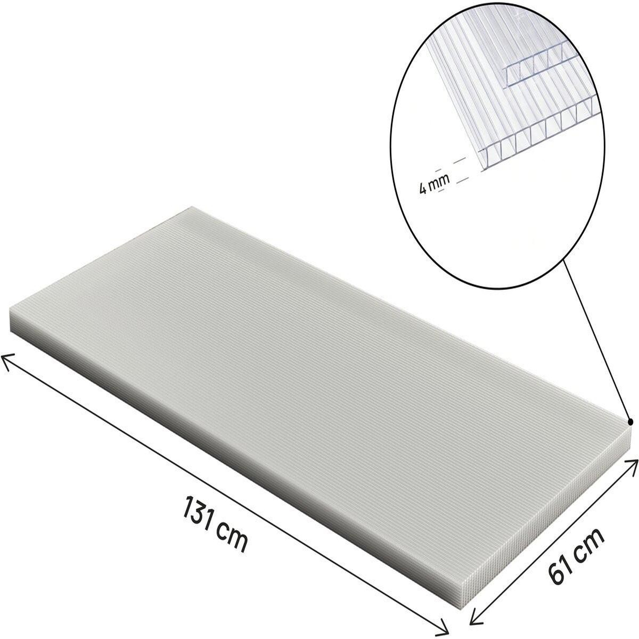 Voir la diapositive 3 : Habitat et Jardin Lot de 10 panneaux en polycarbonate 4 mm  michigan  7,9 m2