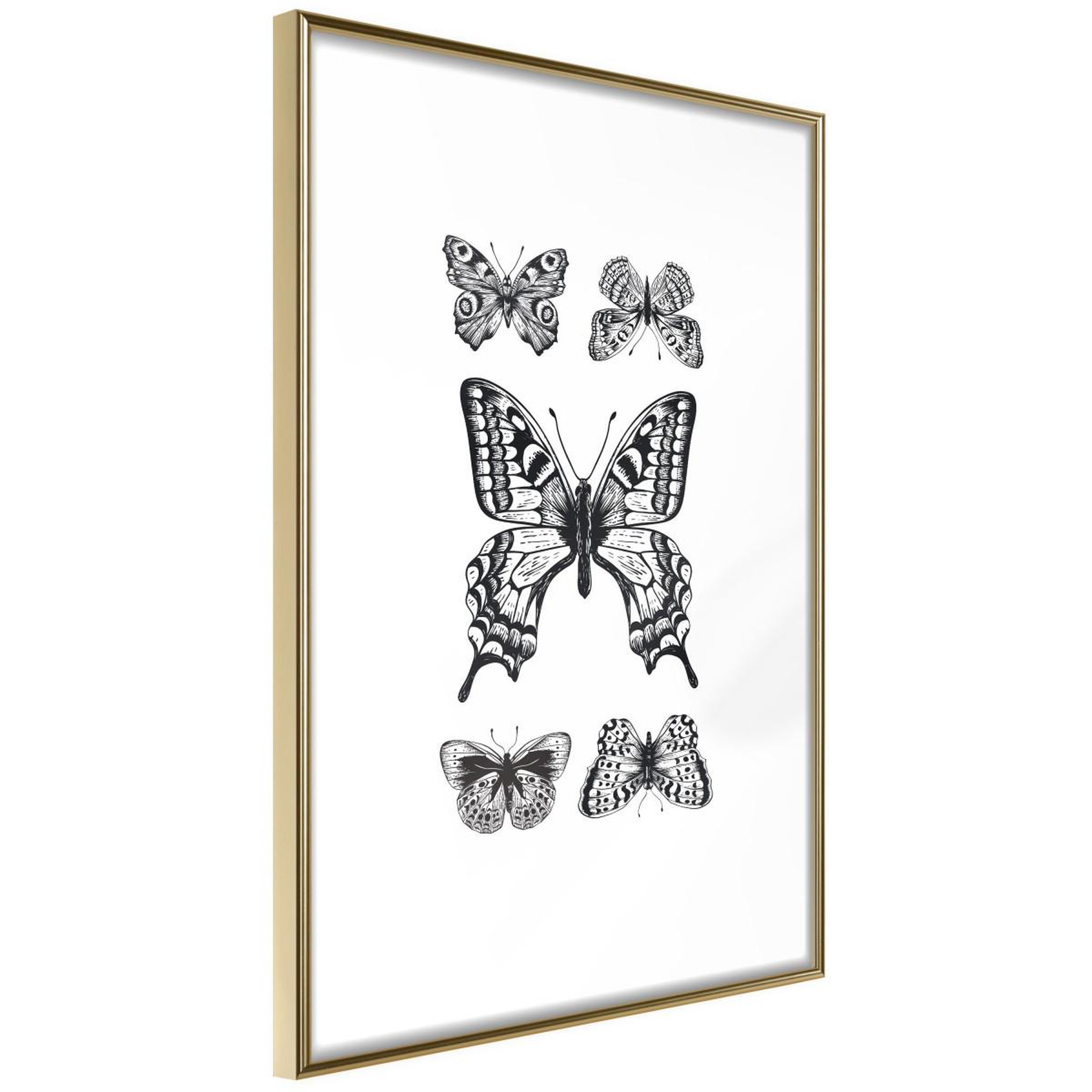 Paris Prix Affiche Murale Encadrée  Butterfly Collection IV