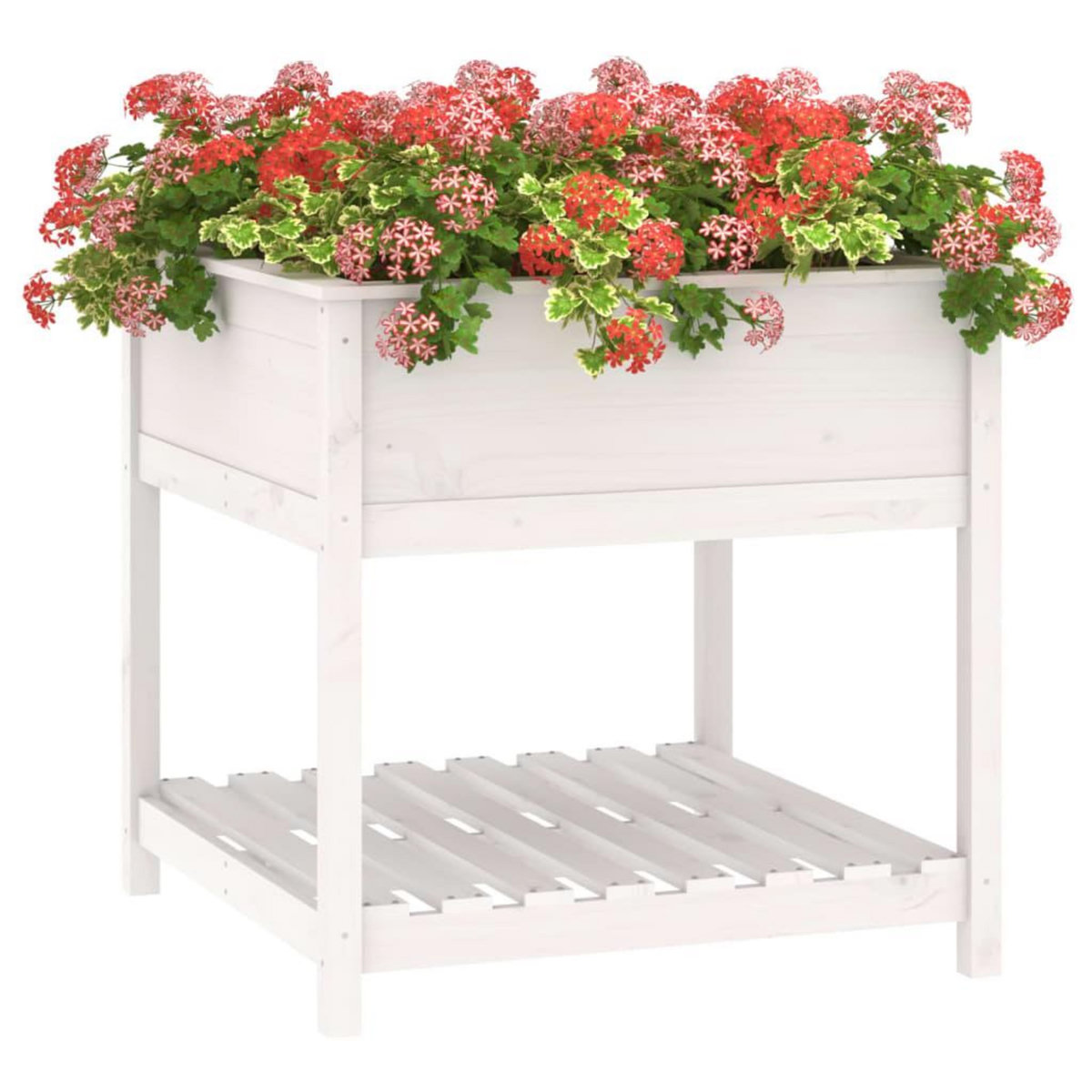 VIDAXL Jardiniere avec etagere Blanc 82,5x82,5x81cm Bois massif de pin