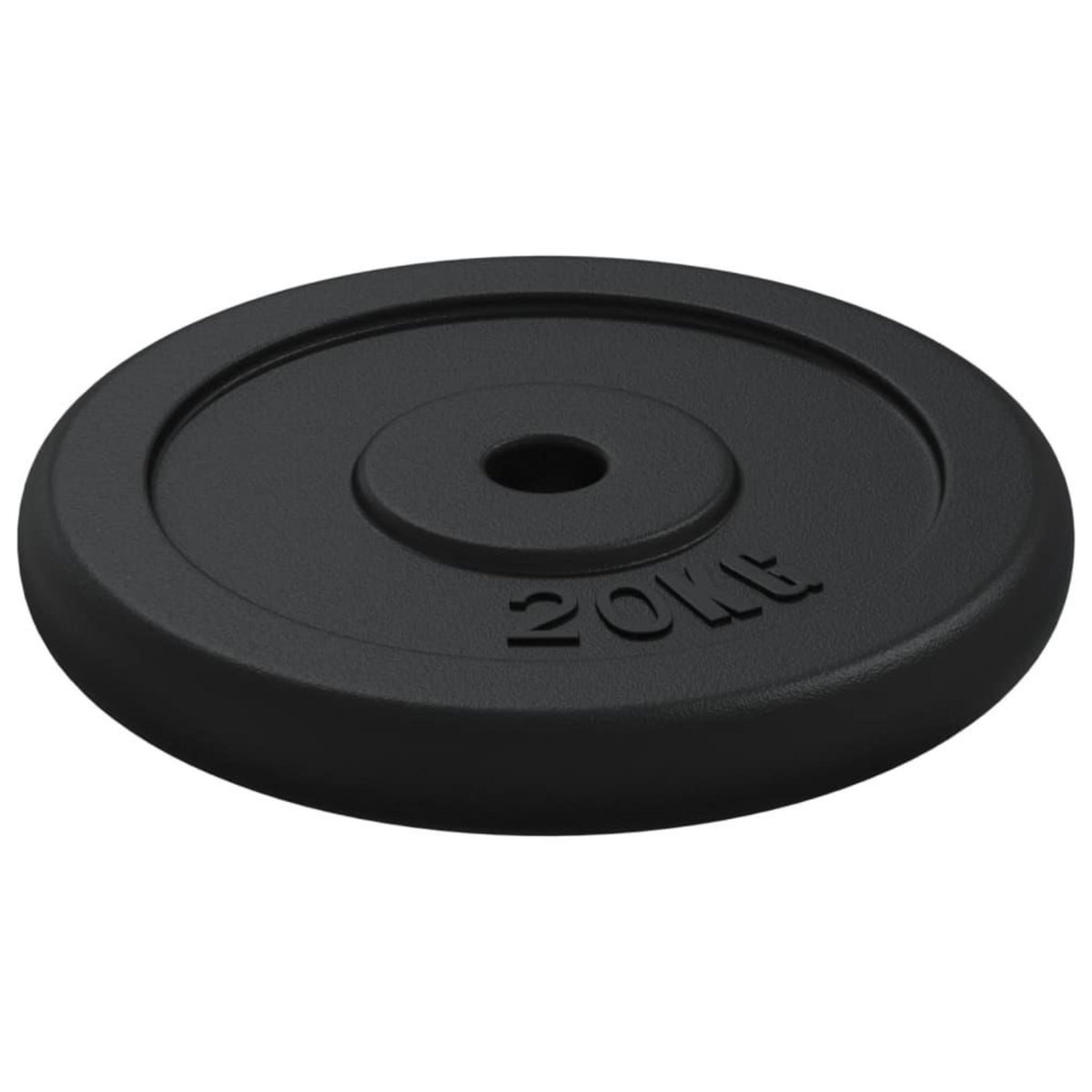 VIDAXL Plaque de poids 20 kg Fonte