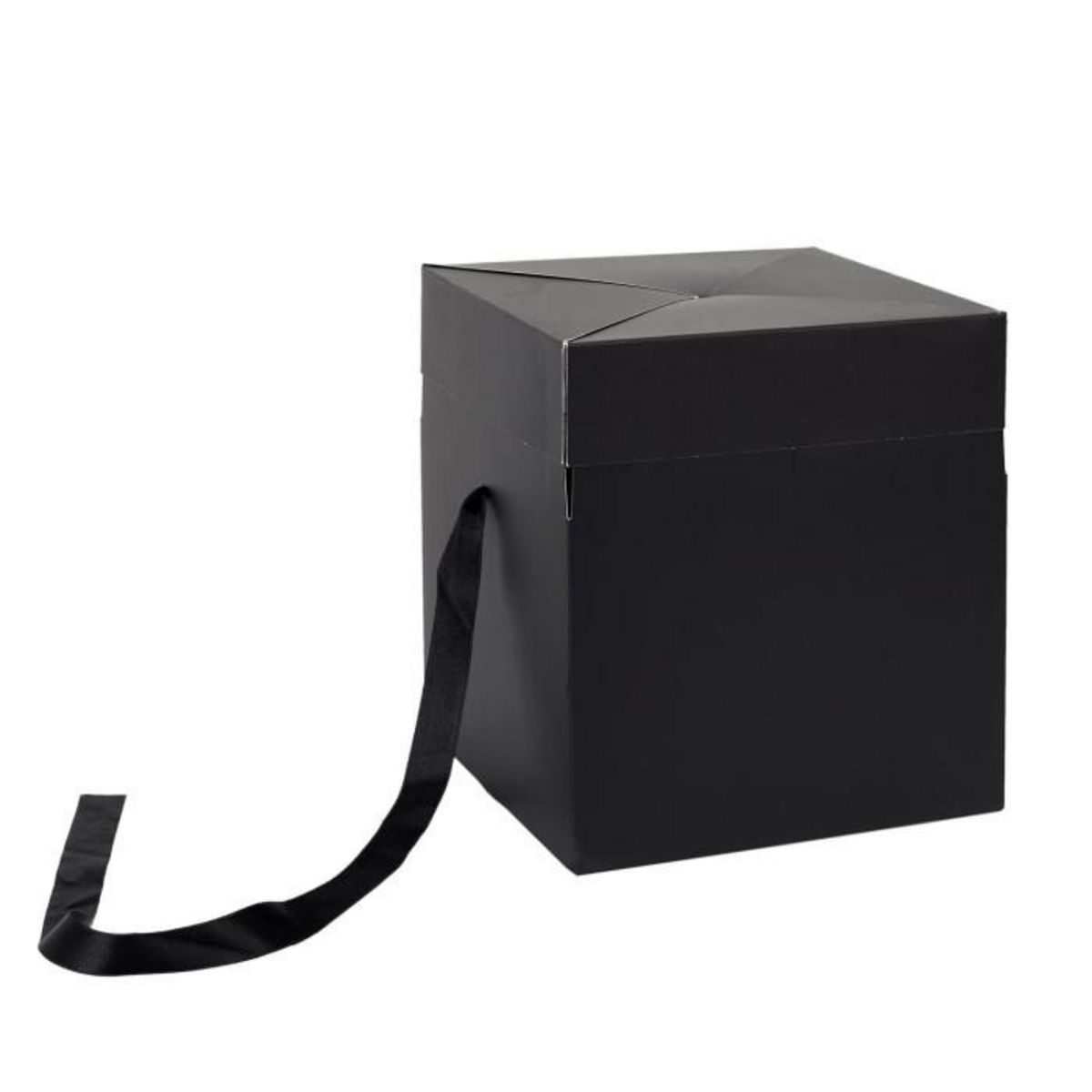 Paris Prix Boîte Cadeau Pliable  Festif  20cm Noir