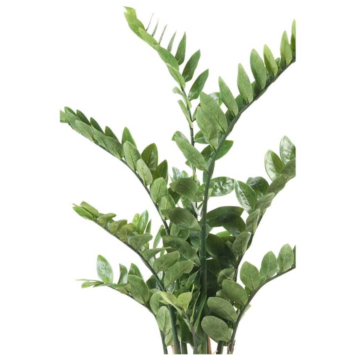 EMERALD Emerald Zamioculcas artificiel Vert 110 cm 11.662C