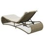 Voir la diapositive 3 : VIDAXL Chaise longue avec coussin Resine tressee Gris